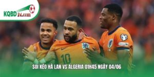 Soi kèo bóng đá Hà Lan vs Algeria